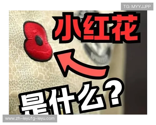 英超节礼日球衣上佩戴的纪念花代表什么?