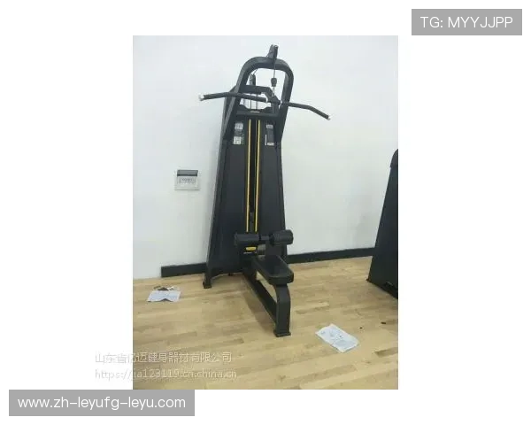 垂直横梯健身器材介绍及其在体育运动训练中的使用技巧