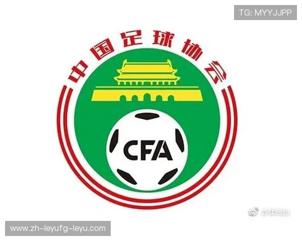 青训造血计划：中超俱乐部成员年轻化战略实施评估