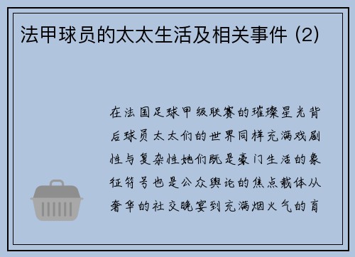 法甲球员的太太生活及相关事件 (2)